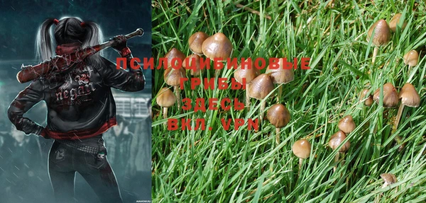 дурь Нязепетровск