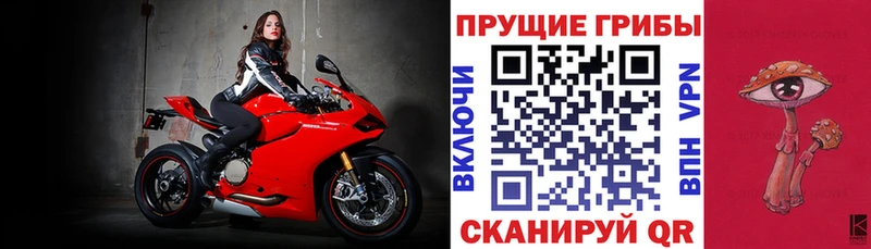 Купить где  Тихвин  Псилоцибиновые грибы MAGIC MUSHROOMS 