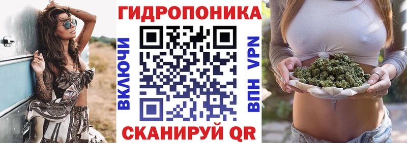 Канабис индика Тихвин